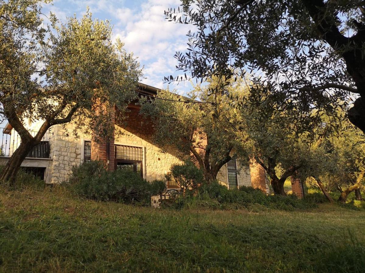 Agriturismo Bosco Magico Verona Exterior photo