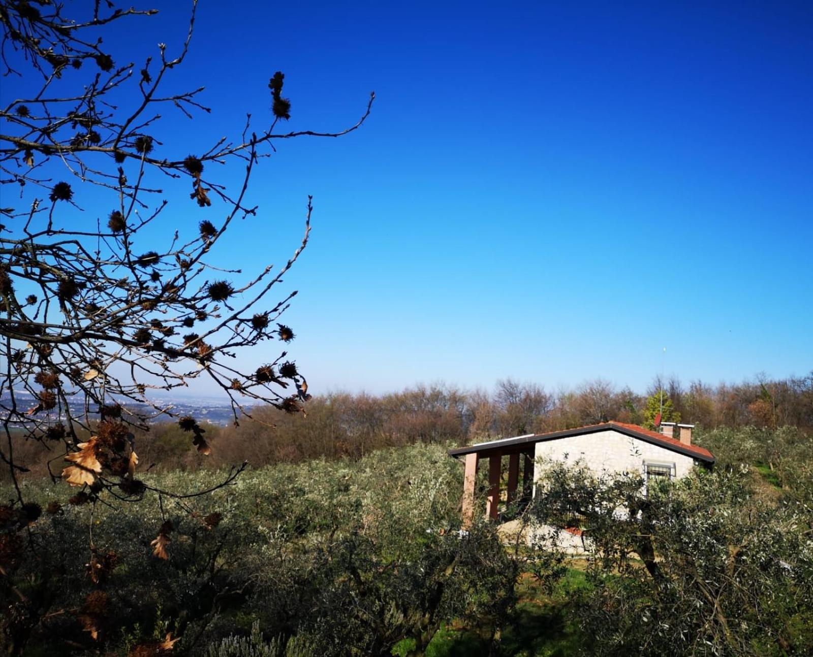 Agriturismo Bosco Magico Verona Exterior photo