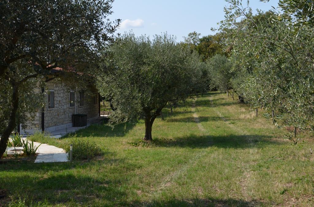Agriturismo Bosco Magico Verona Exterior photo