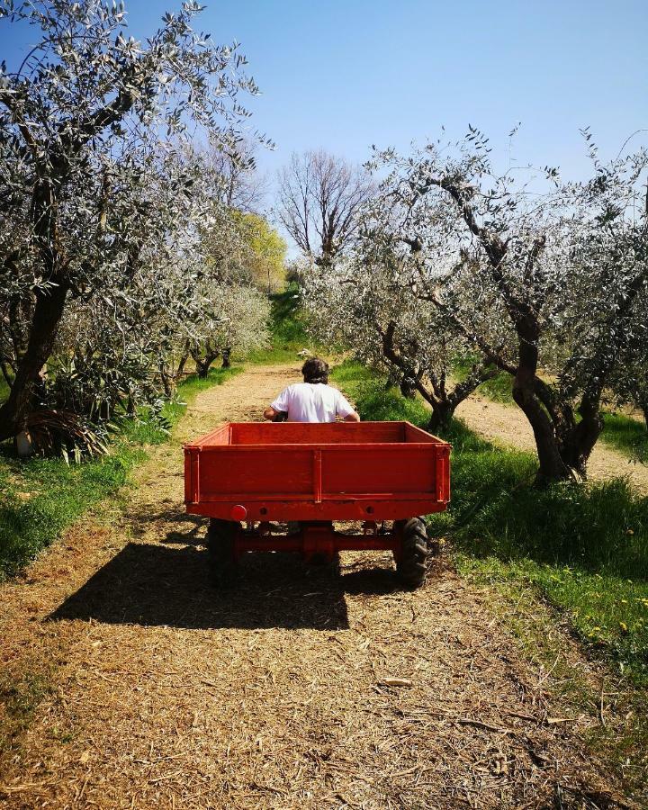Agriturismo Bosco Magico Verona Exterior photo
