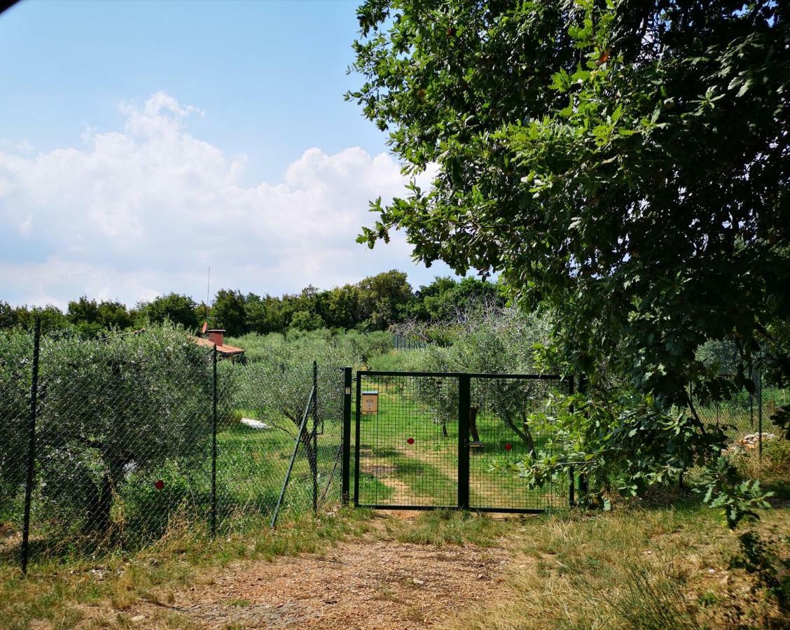 Agriturismo Bosco Magico Verona Exterior photo