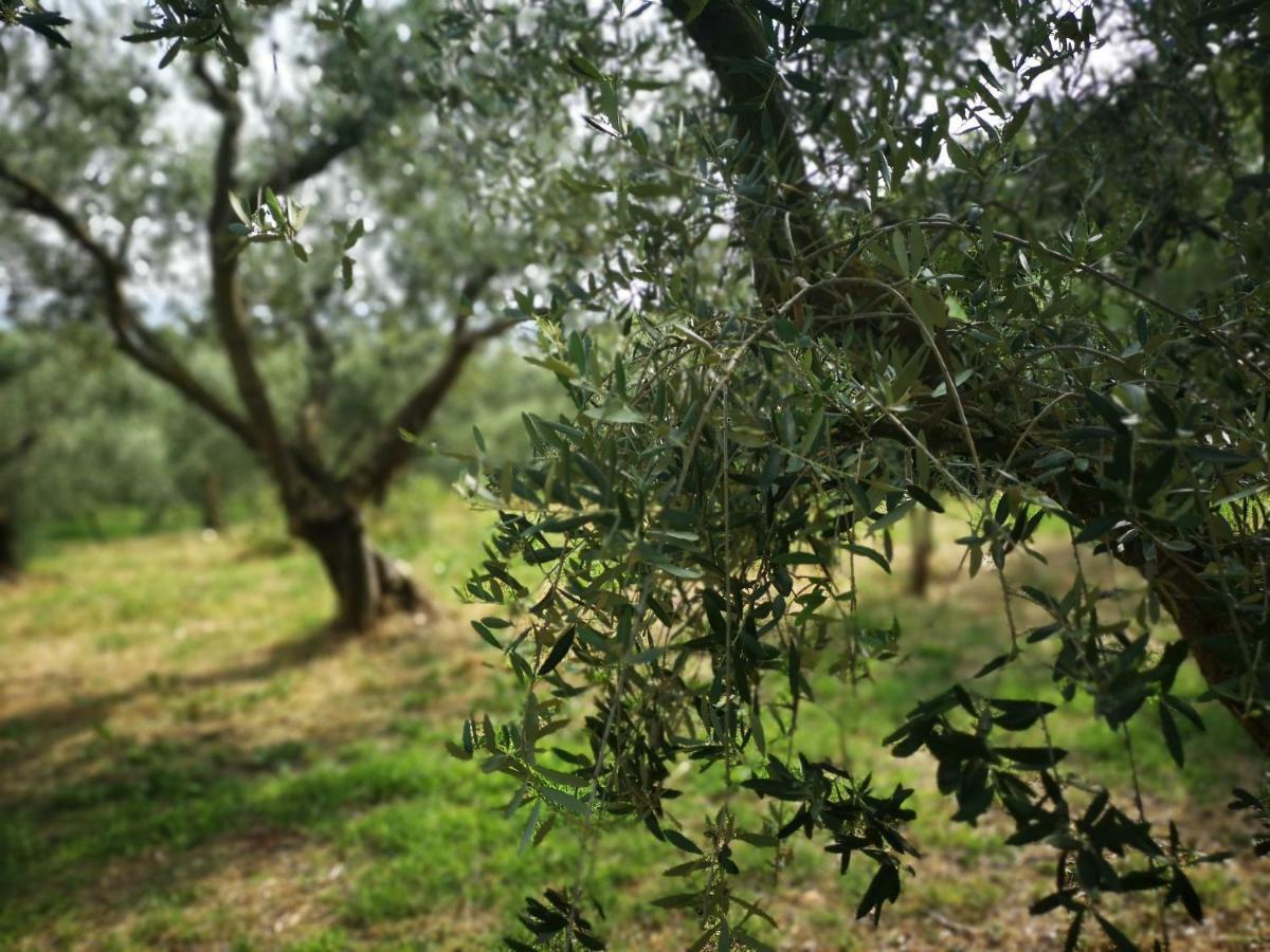 Agriturismo Bosco Magico Verona Exterior photo